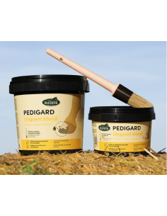 PEDIGARD ONGUENT BLOND 2