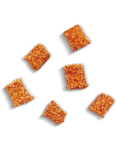 TENDRE BOUCHEES CHAT "MOBILITE" 40g
