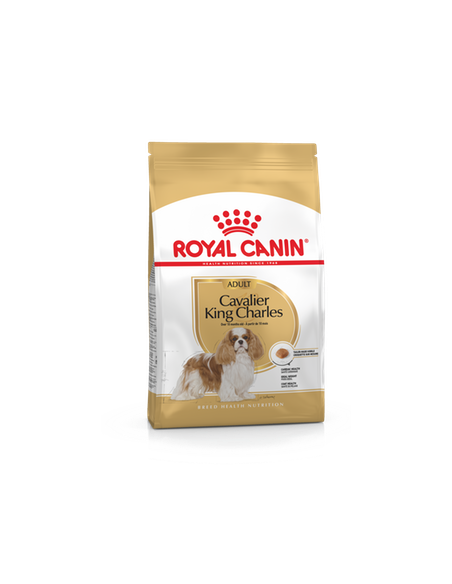 Croquette Chien CAVALIER KING CHARLES ADULTE 3KG