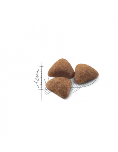 INDOOR 27  ROYAL CANIN