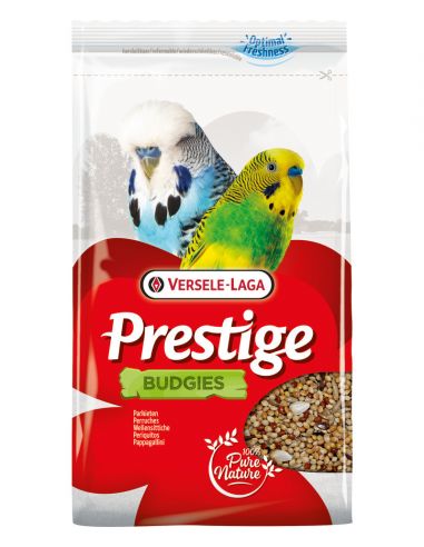 Prestige perruche