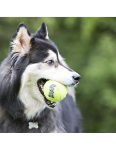 KONG TENNIS BALL x3 2