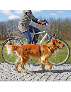 LAISSE VELO ET JOGGING