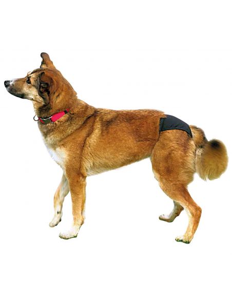 SLIPS DE PROTECTION NOIR