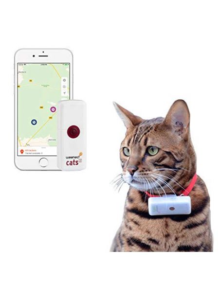 Les Avantages d'un Collier GPS pour Chat