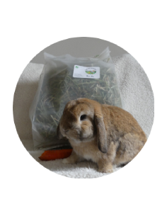 SACHET FOIN BIO ET LOCAL 15