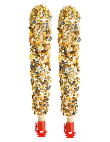 PRESTIGE STICKS PERROQUET FRUITS EXOTIQUES 2X70 GR