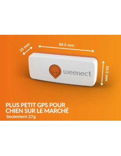 COLLIER MINI GPS POUR CHIEN 2