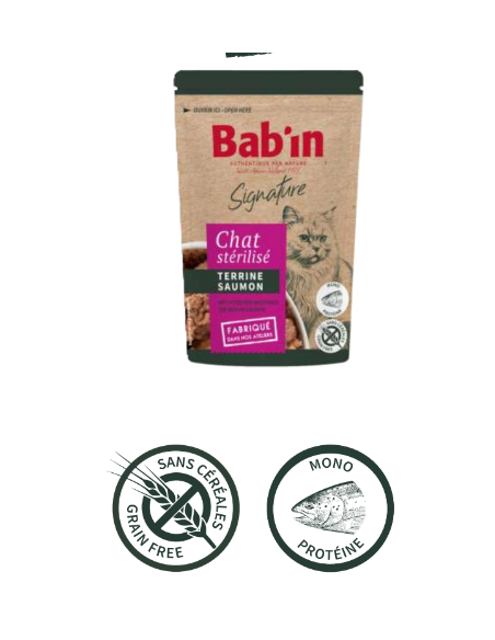 TERRINE CHAT STERILISE SAUMON
