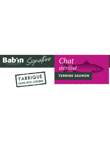 TERRINE CHAT STERILISE SAUMON