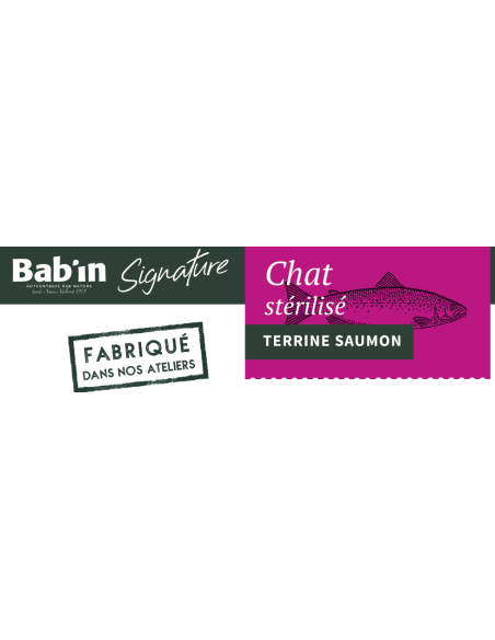 TERRINE CHAT STERILISE SAUMON