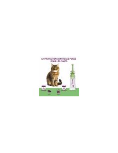 Pipettes anti-puces Vectra Felis Chat