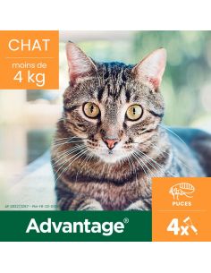 ANTIPARASITE ADVANTAGE  CHAT ET LAPIN moins de 4 kg