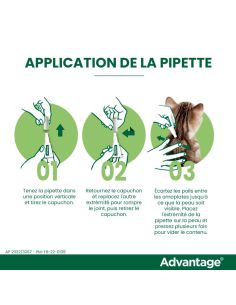 ANTIPARASITE ADVANTAGE  CHAT ET LAPIN moins de 4 kg 2
